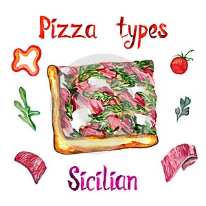 Pizza types, Sicilian isolated on whitewith vegetables adn meat slices around, hand painted watercolor illustration