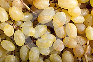 Pizzuta Grapes