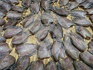 Pla Salit sun-dried fish is thai food.