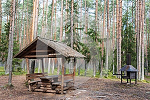 Place for camping and recreation with a tent in nature in the forest near Lake Peipus in summer