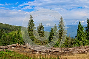 Place of deforestation in the Carpathians, Ukraine