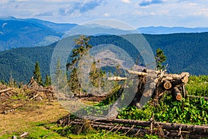 Place of deforestation in the Carpathians, Ukraine