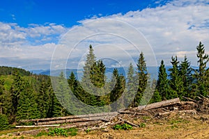 Place of deforestation in the Carpathians, Ukraine