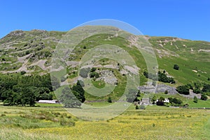 Place Fell, Side Farm, yellow field, Patterdale