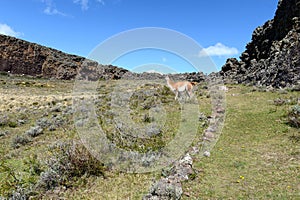 The place inhabited by ancient Indian tribes in the national Park Pali Aike.