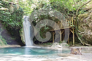 place with a lake and vegetation