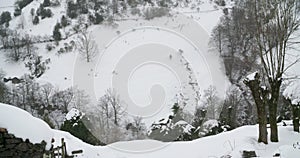 Place between the mountains covered by snow with trees around