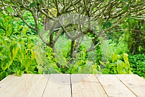 Place for object on wooden table with green summer