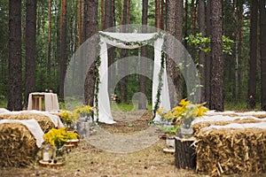 Place in old autumn wood for wedding ceremony