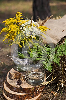 Place in old autumn wood for wedding ceremony