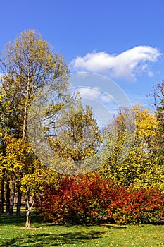 Place in a quiet city park