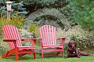 A place of rest with manâ€™s best friend