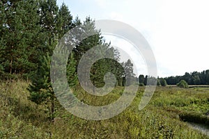 A place for rest and open-air by the famous Russian artist Konstantin Korovin near the village of Okhotino in the Yaroslavl region