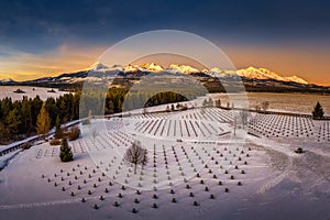Německý vojenský hřbitov pro vojáky 2. světové války v souhrnu