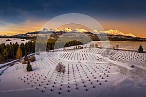 German military cemetery for soldiers of World War II in sumset