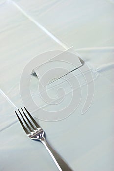 Place setting