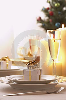 Place setting at Christmas