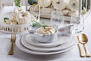 Place setting for Thanksgiving with small white pumkin and rosemary in white