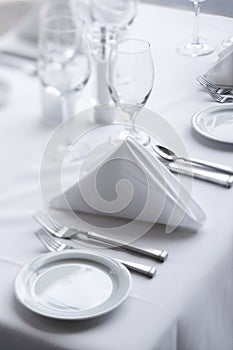 Place Settings on Dining Table