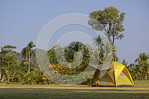 Place the tent on the lawn outdoors