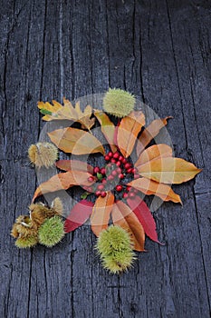 place for text, autumn image with leaves, chestnuts and small red fruits, rustic black wooden background