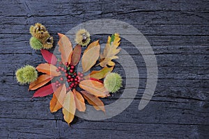 place for text, autumn image with leaves, chestnuts and small red fruits, rustic black wooden background