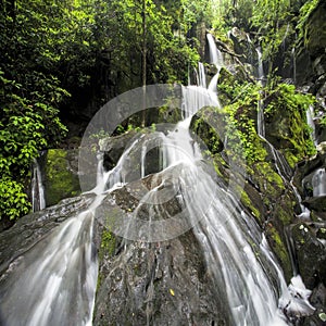 Place of a Thousand Drips Great Smoky Mountains National Park