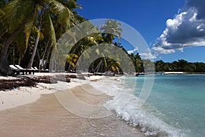 Place to relax on the beach with sun loungers and palm trees.