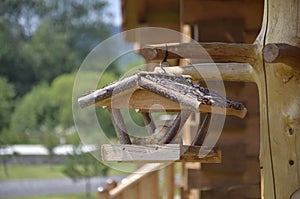 A place to relax and unwind with swings area, benches and trees around