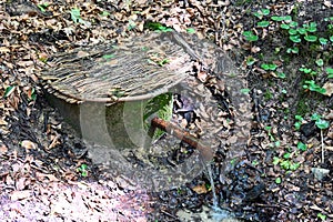 a place to replenish water supplies from a stream