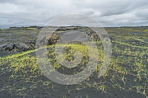 Place between two continents on Iceland, summer time