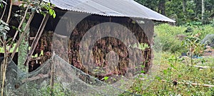 The place used to dry shallots traditionally