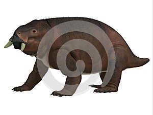 Placerias Triassic Dicynodont