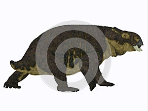 Placerias Dinosaur Tail