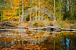Placid autumn river in northeast Ohio