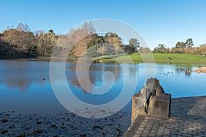 Placid lake reflecting the sky and trees in Hamilton NZ