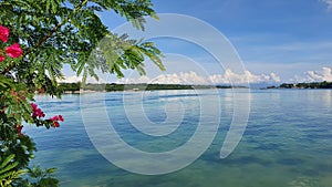 Placid Philippine Bay Seawater in Bohol Island