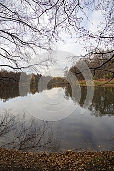 Placid pond on quiet Autumnal day