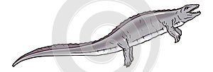 placodus dinosaur ancient vector illustration transparent background