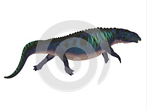 Placodus Triassic Reptile