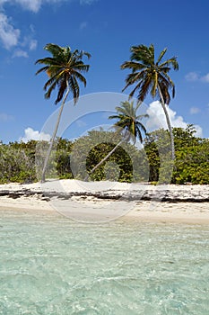 Plage de Bois-Jolan in Sainte-Anne, Guadeloupe