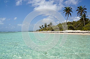 Plage de Bois-Jolan in Sainte-Anne, Guadeloupe photo