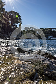 Plage Paloma in Saint Jean Cap Ferrat