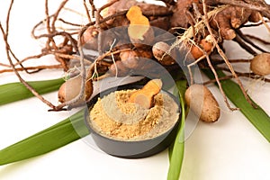 Plai (thai name), Cassumunar ginger, Bengal root Zingiber cassumunar, fresh and powdered rhizome