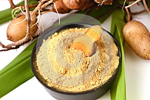 Plai (thai name), Cassumunar ginger, Bengal root Zingiber cassumunar, fresh and powdered rhizome
