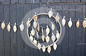 Plaice drying on a rack in the wind