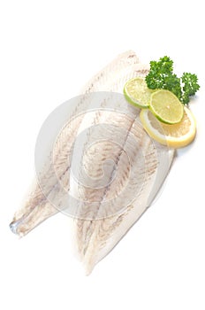 Plaice