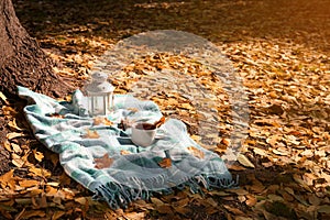 Plaid with cup of tea, cinnamon and lantern near tree in park on sunny autumn day. Space for text