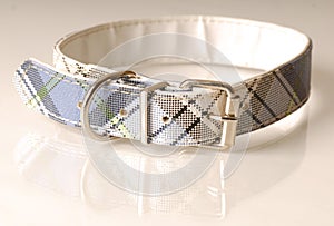 Plaid dog collar