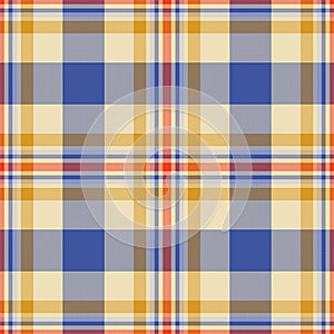 Plaid seamless pattern. Check fabric texture. Vector textile print